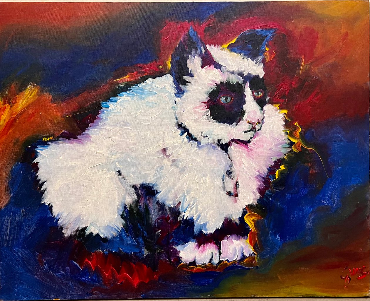 Bungee the Cat by Gerrit Greve