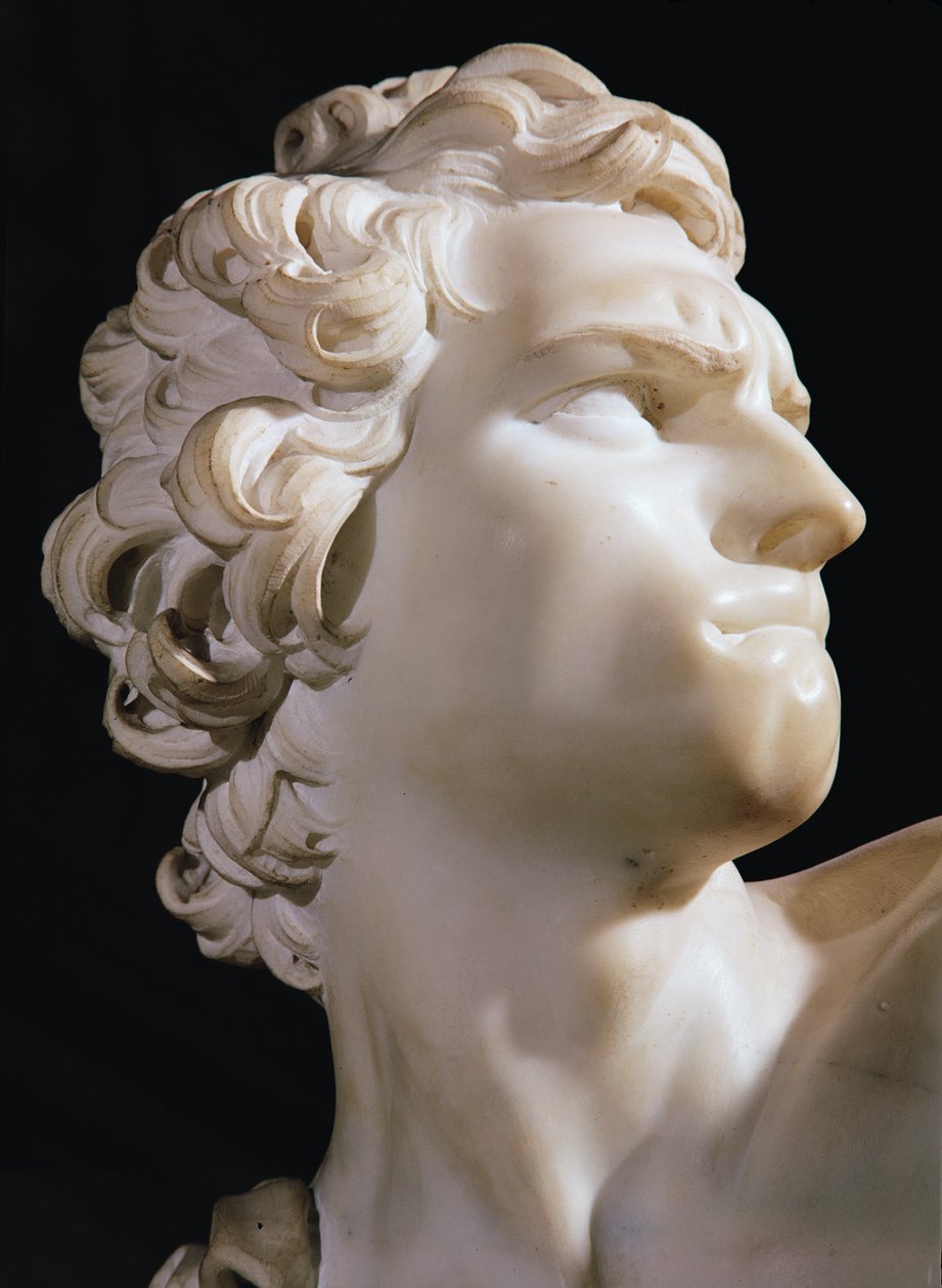 David (detail of the head, right profile), 1623 (marble) by Gian Lorenzo Bernini