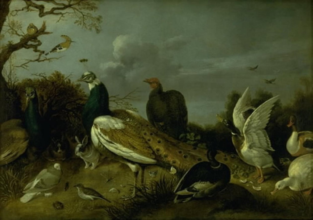 Peacocks, Ducks and other Animals by Gijsbert Gillisz. de Hondecoeter