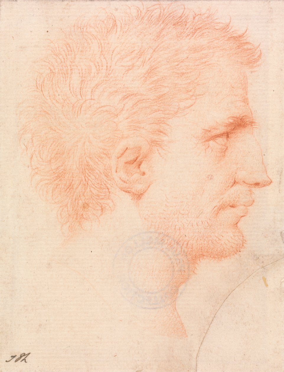 Head of a Man with Stubble Beard, Facing Right by Giles Hussey