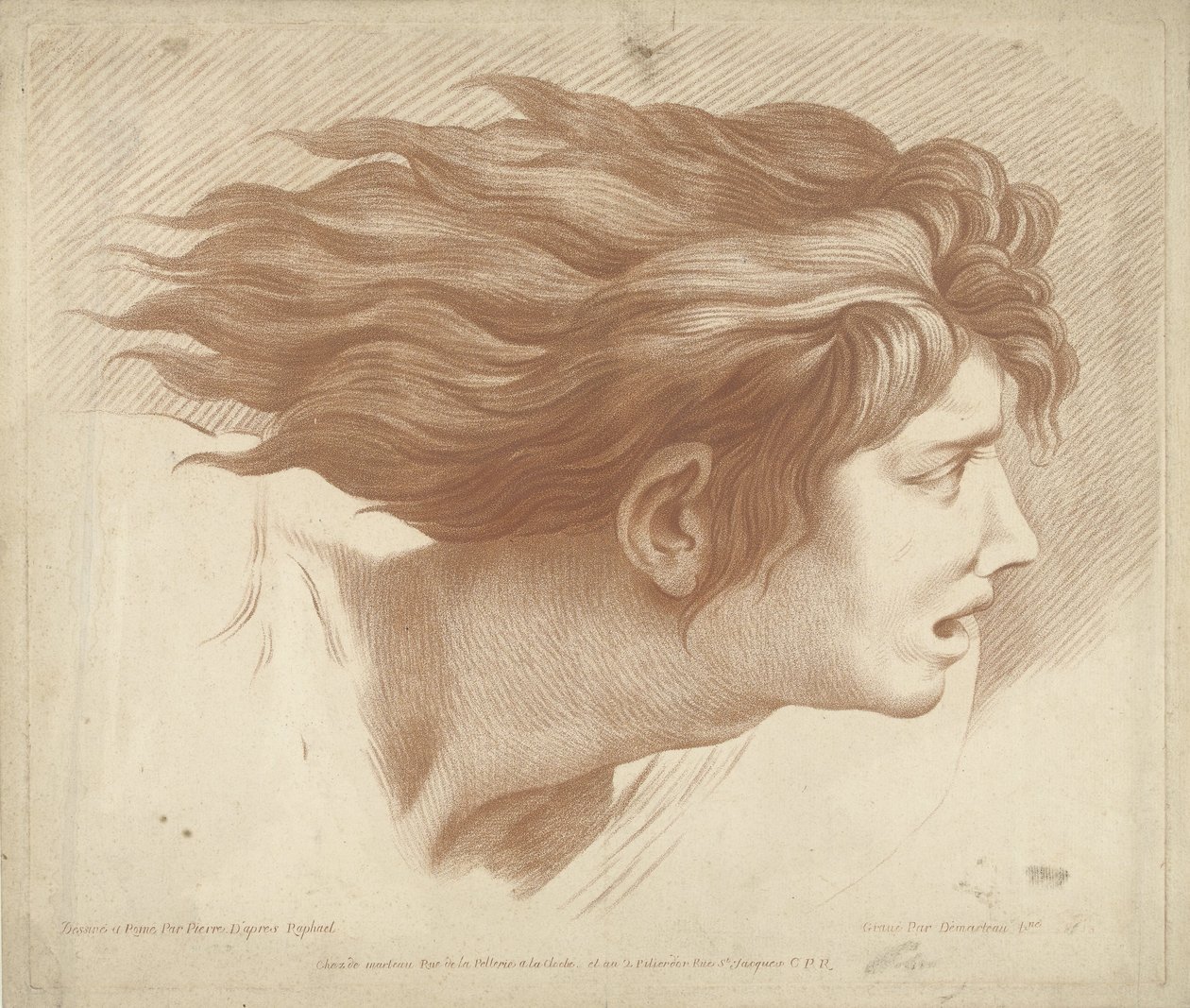 Head of Man with Flowing Hair by Gilles Demarteau