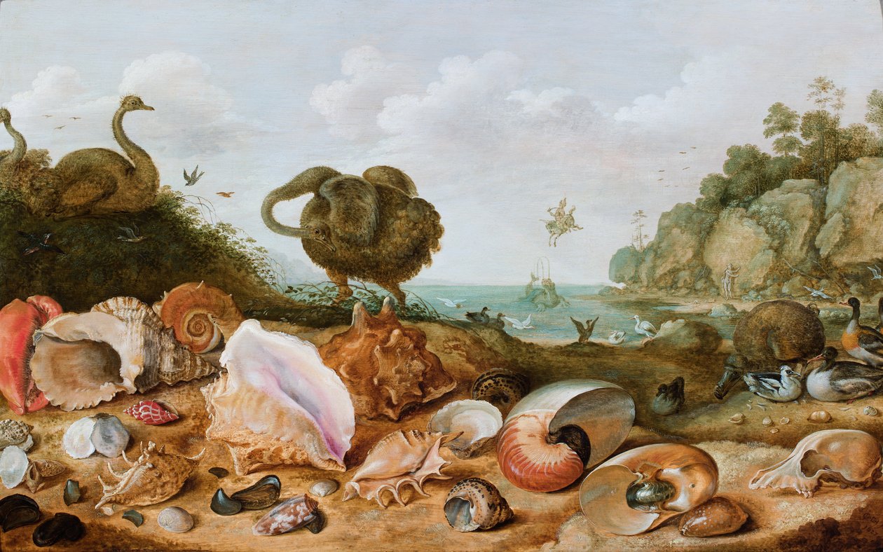 Shells and Birds, Including a Dodo, on a Seashore, Perseus Rescuing ...