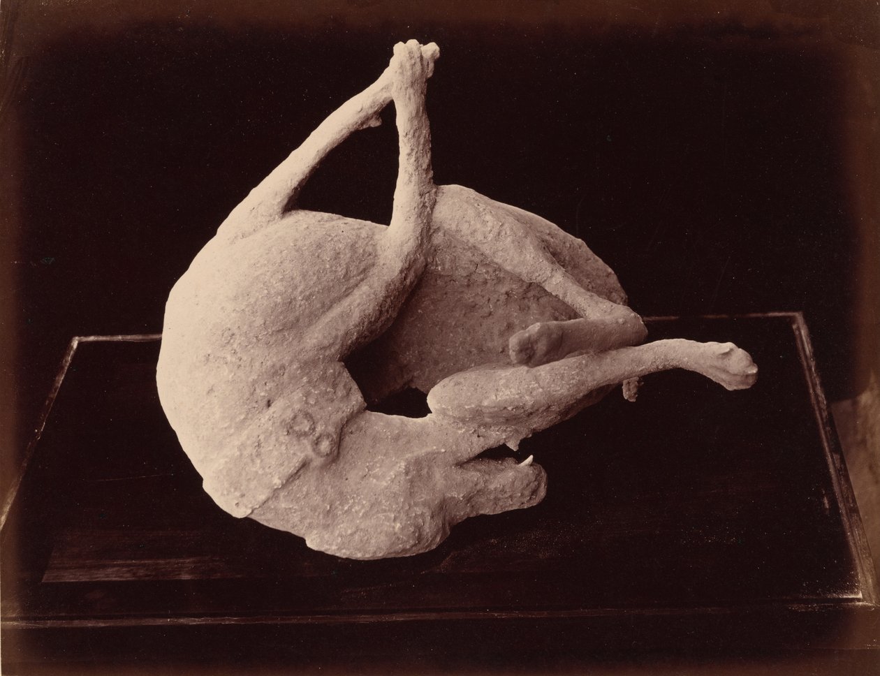 Cast, Pompeii, c. 1870 by Giorgio Sommer