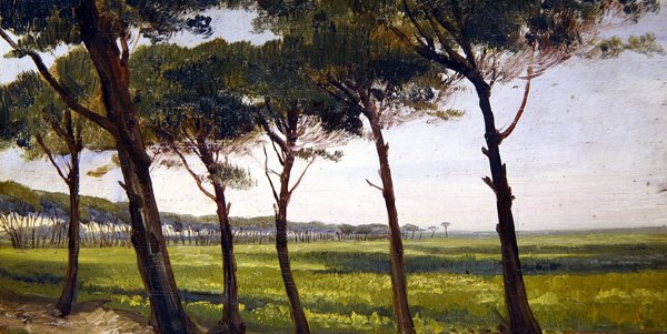 A Line of Old Pines by Giovanni Costa