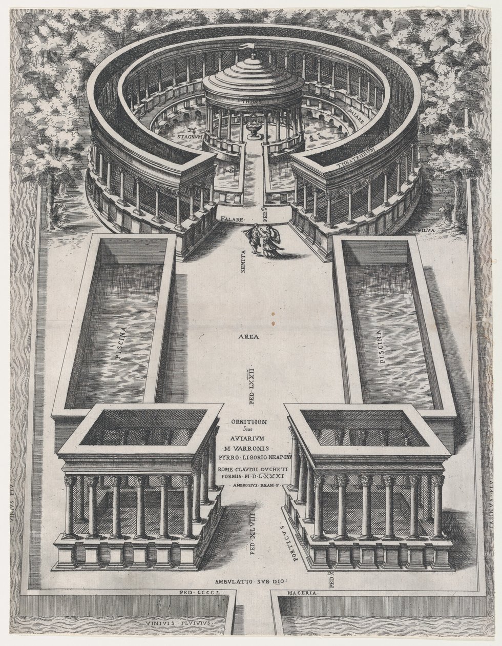 Speculum Romanae Magnificentiae: Ornithon Sive Aviarum by Giovanni Ambrogio Brambilla