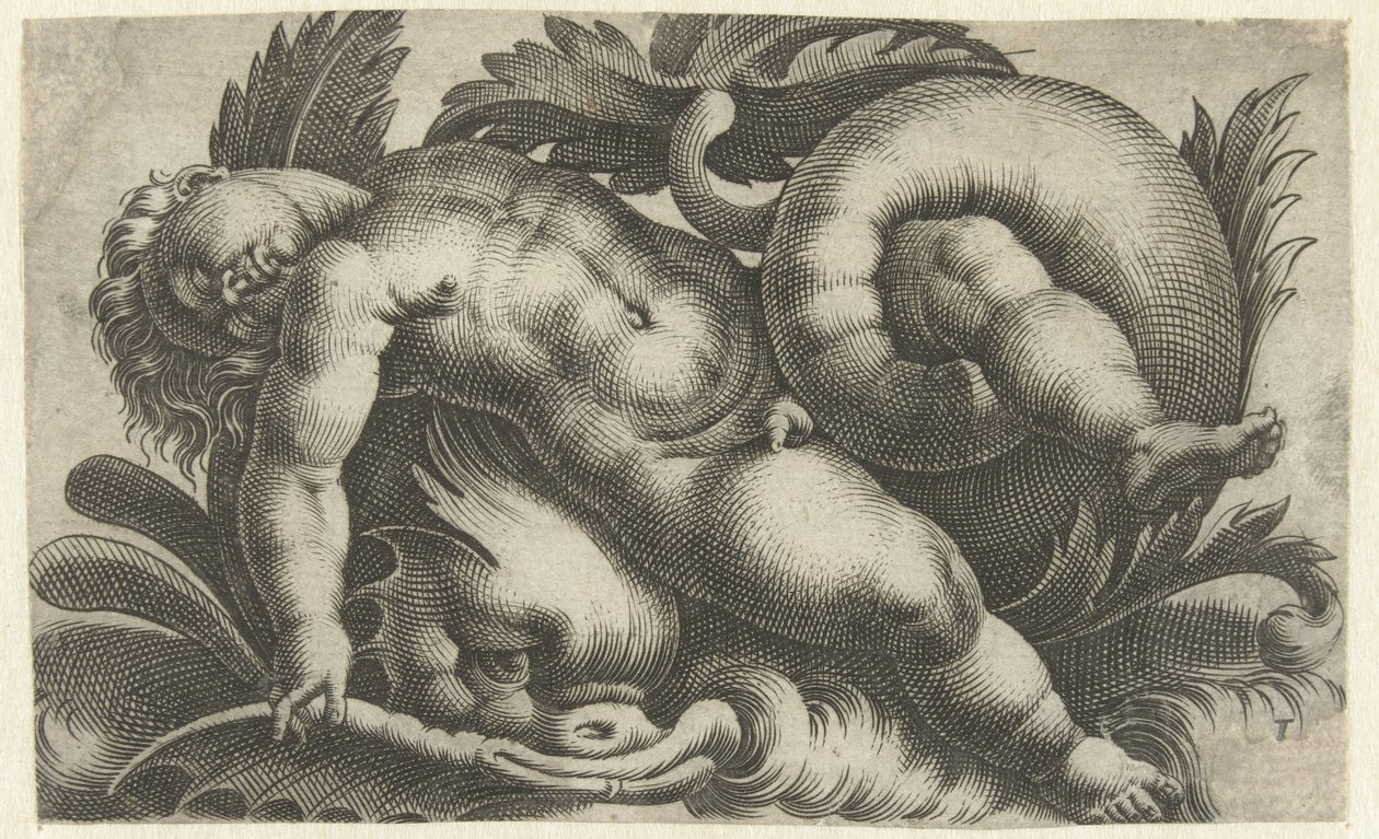 Sleeping Putto on Dolphin by Giovanni Andrea Maglioli
