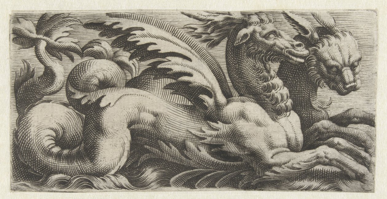 Two Sea Creatures Side by Side by Giovanni Andrea Maglioli