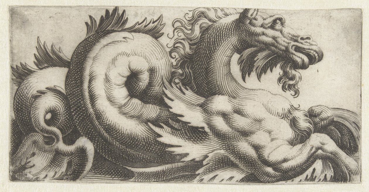 Seahorse with Leaf-shaped Fins and a Beard by Giovanni Andrea Maglioli