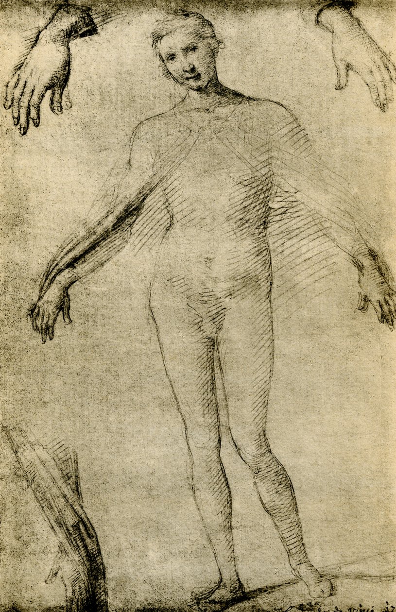 Model Study for a Virgin Mary as Mater Misericordiae by Giovanni Antonio Bazzi Sodoma