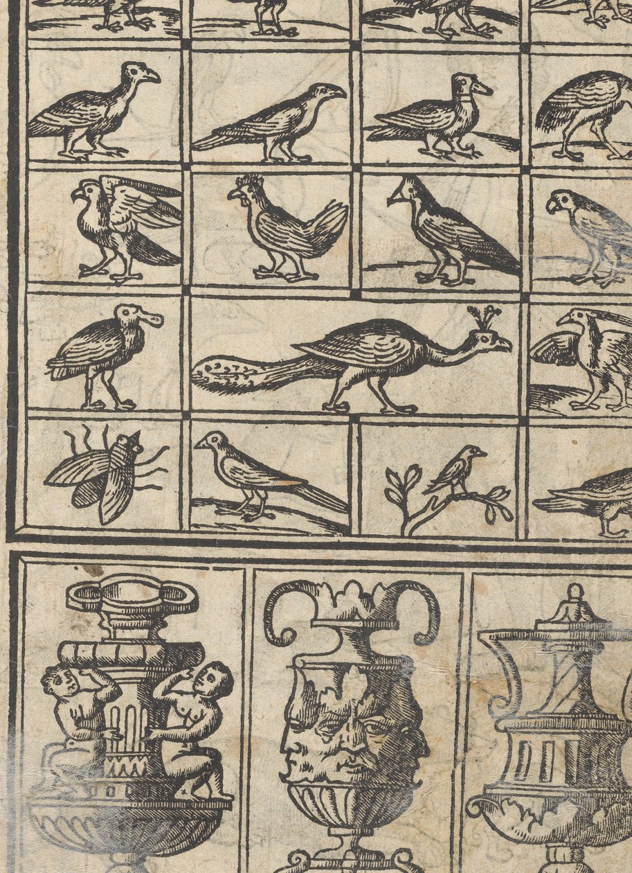 Example of Embroidery, Page 12 Recto by Giovanni Antonio Tagliente