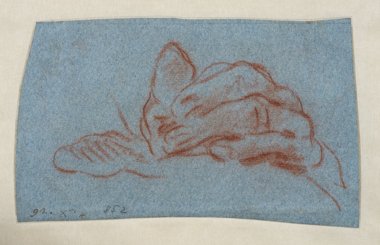 Study of a Left Hand, c.1750-1754 by Giovanni Battista (attr. to) Tiepolo