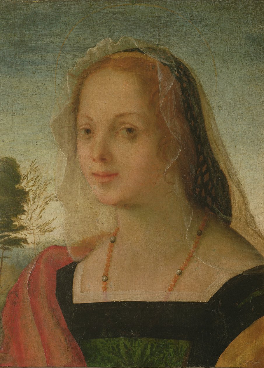 Portrait of a Young Girl by Giovanni Battista Rosso Fiorentino
