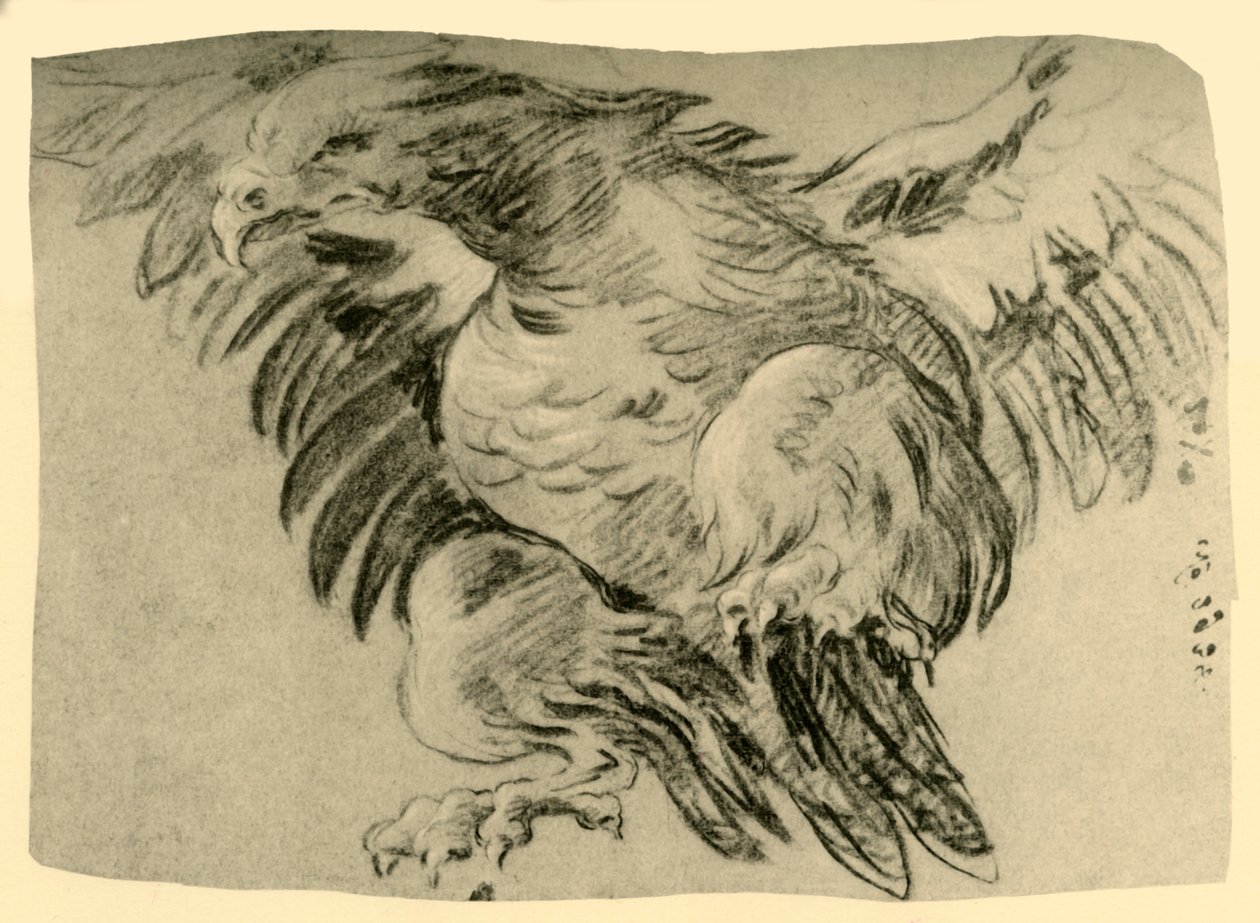Eagle by Giovanni Battista Tiepolo