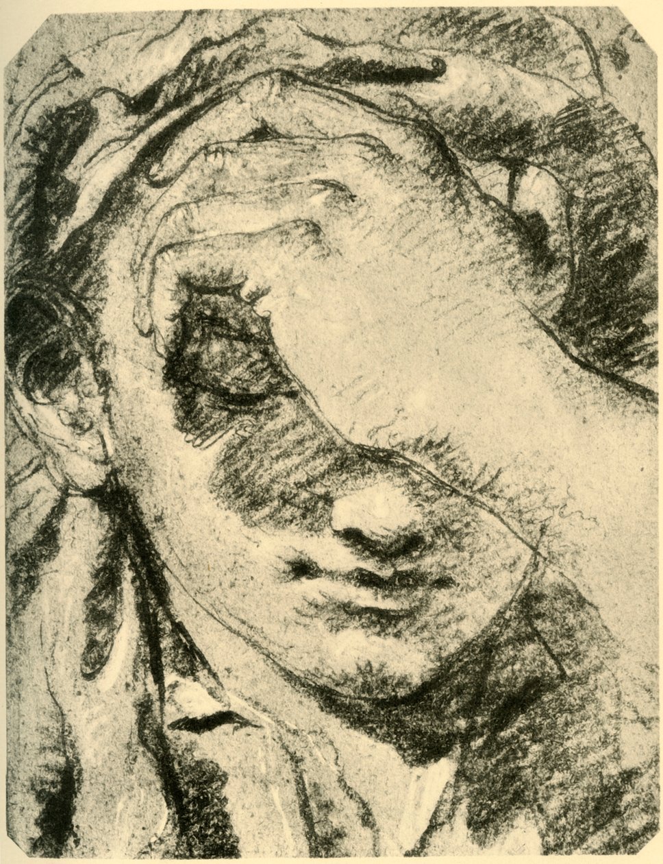 Head of a Young Woman by Giovanni Battista Tiepolo