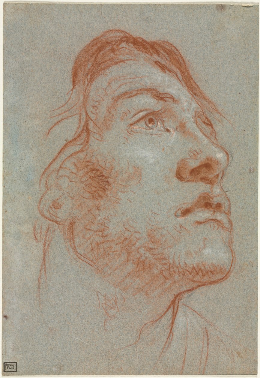 The Head of a Young Man Looking Upwards to the Right by Giovanni-Battista Tiepolo