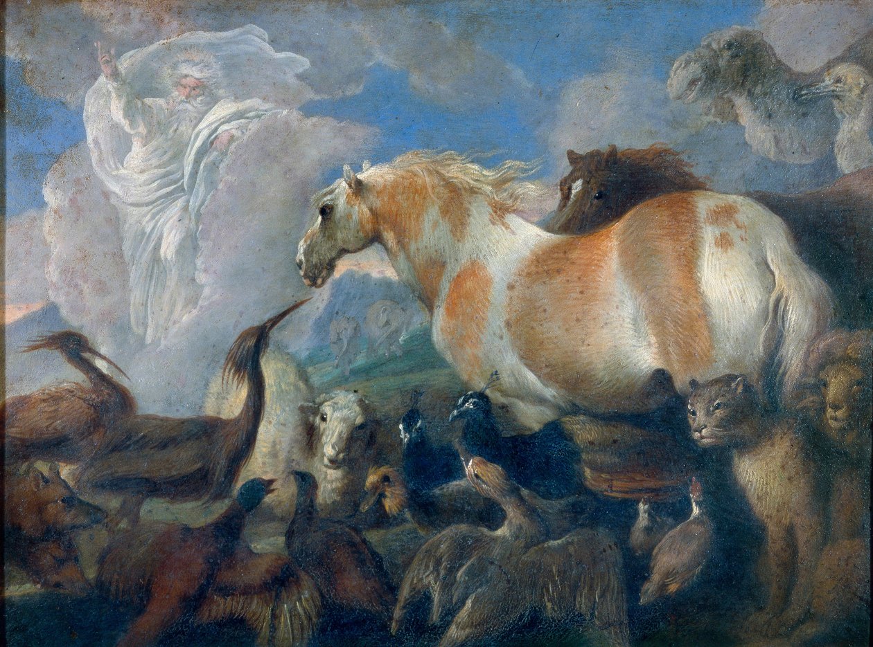 The Creation by Giovanni Benedetto Castiglione