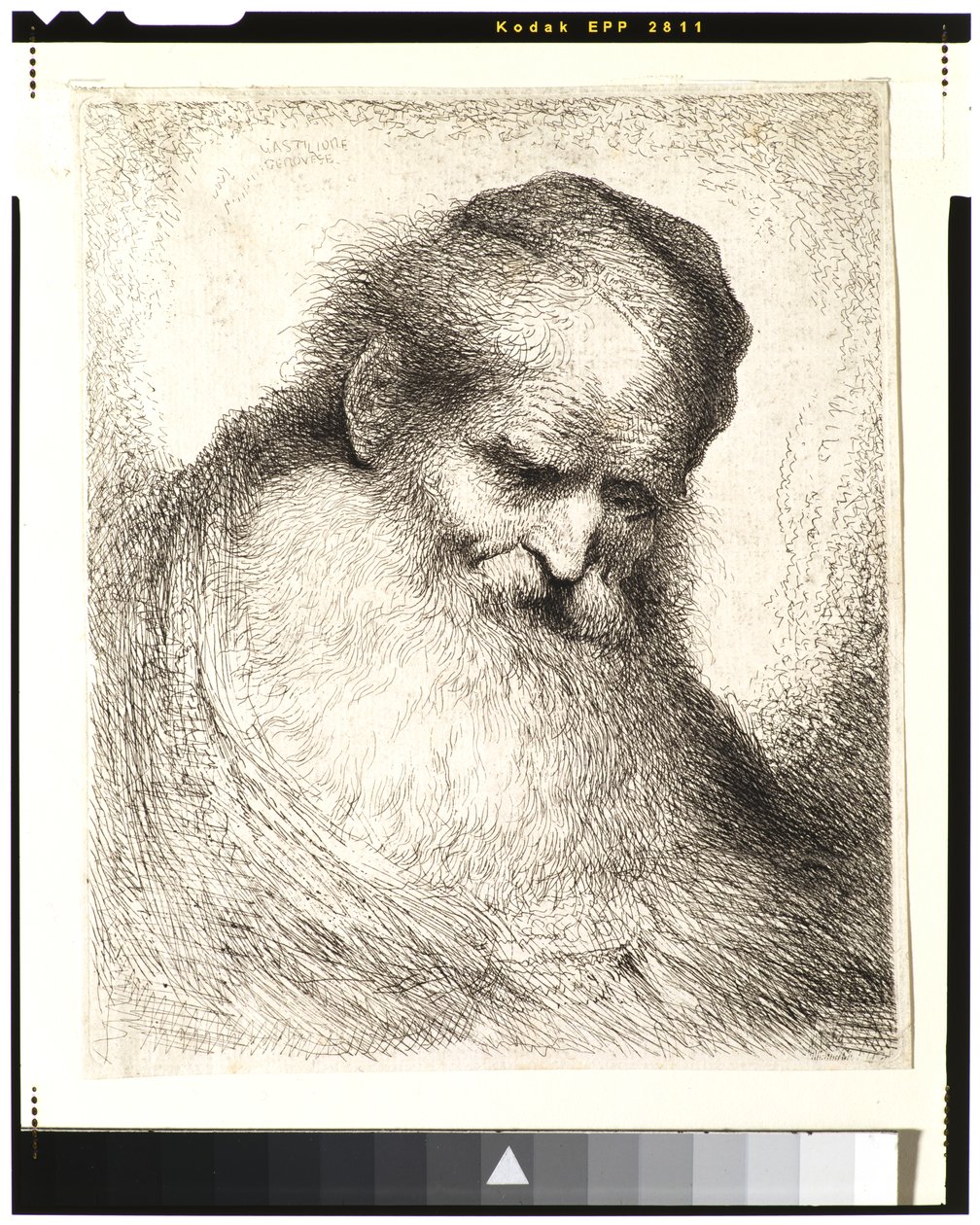Bearded Old Man with His Head Leaning Forward, Wearing a Skull Cap, Facing Right by Giovanni Benedetto Castiglione