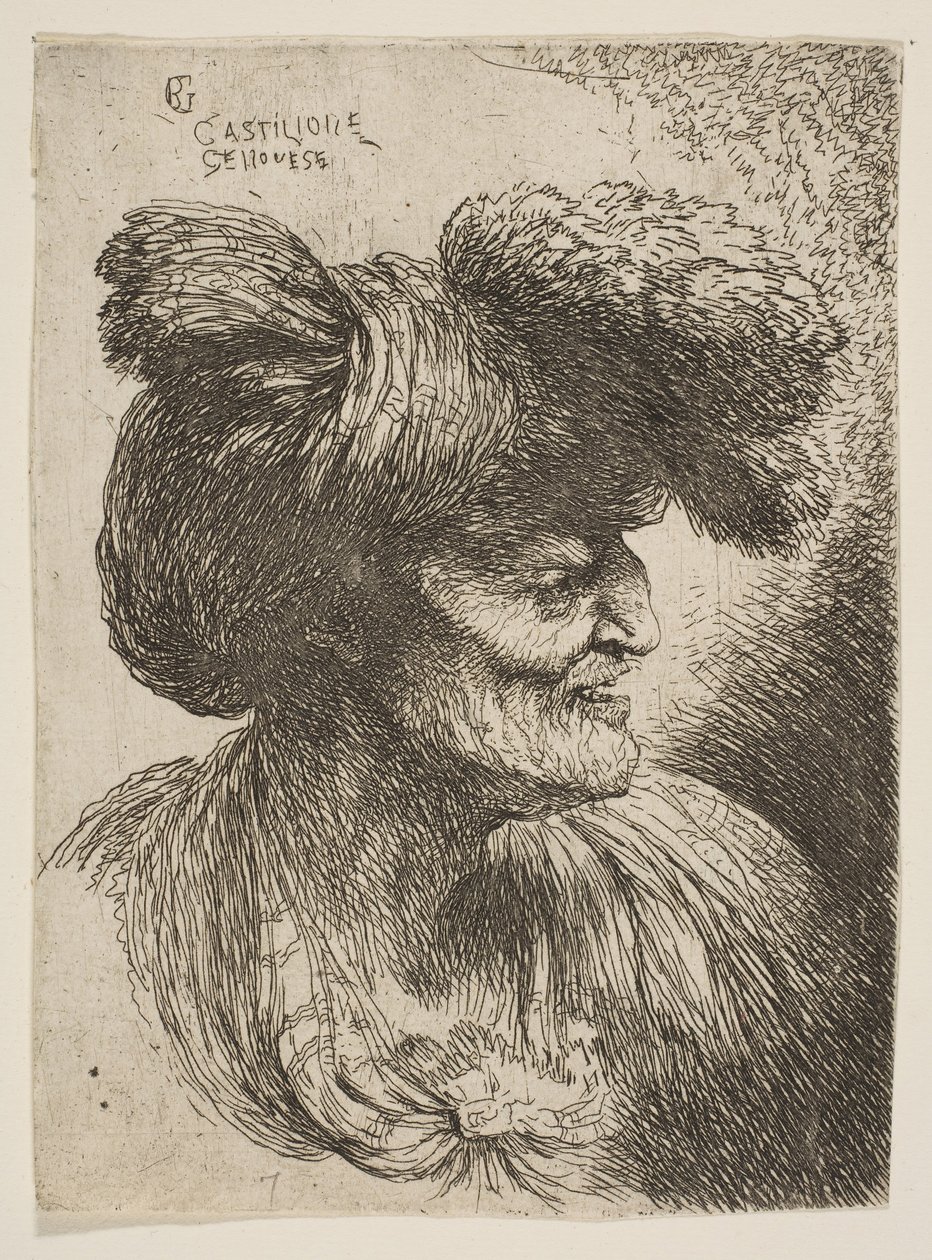 Bust of beardless old man in profile facing right, from the series of Small Heads by Giovanni Benedetto Castiglione