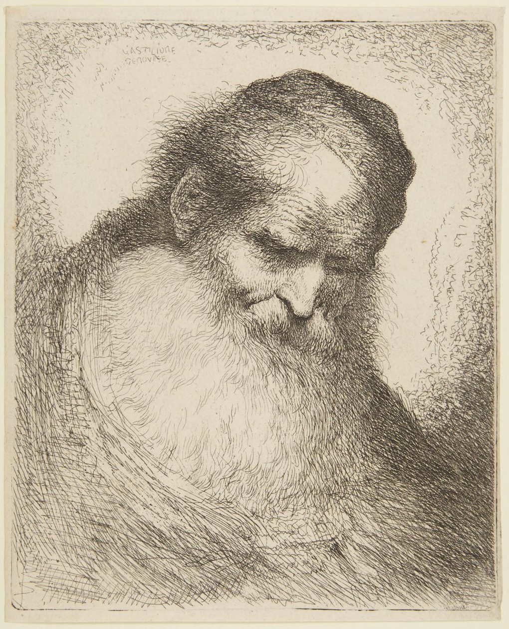 Head of a Bearded Old Man by Giovanni Benedetto Castiglione