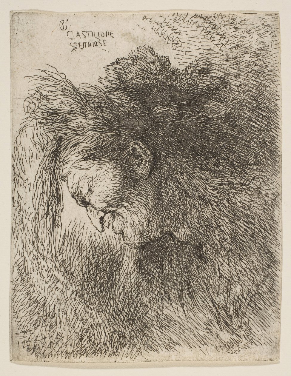 Head of an old man looking down, facing Left, from the series of Small Heads, ca. 1645-1650 by Giovanni Benedetto Castiglione