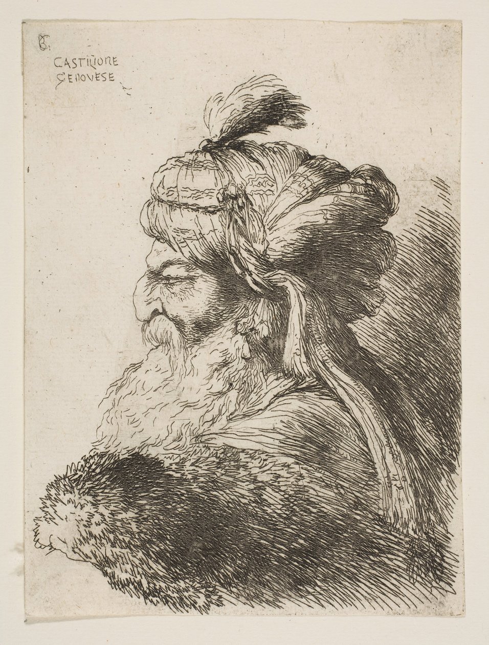 Head of an Old Man with a Turban Facing Left, ca. 1645-1650 (from the Series of Small Heads) by Giovanni Benedetto Castiglione