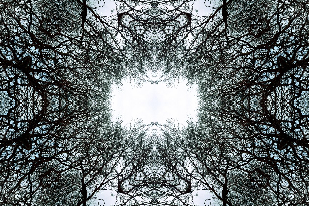 Unnatural 101 by Giovanni Cafagna