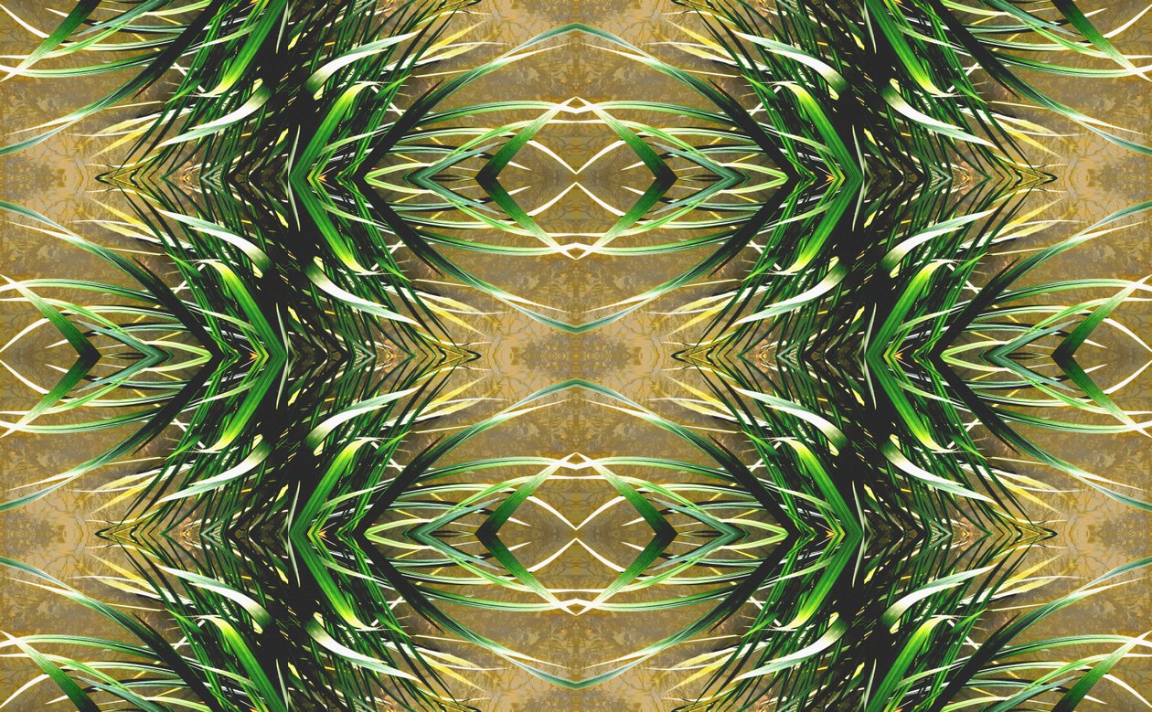 Unnatural 16 by Giovanni Cafagna