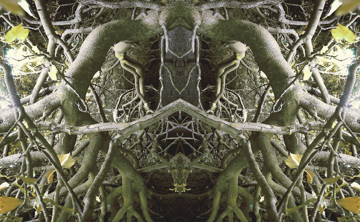 Unnatural 41 by Giovanni Cafagna