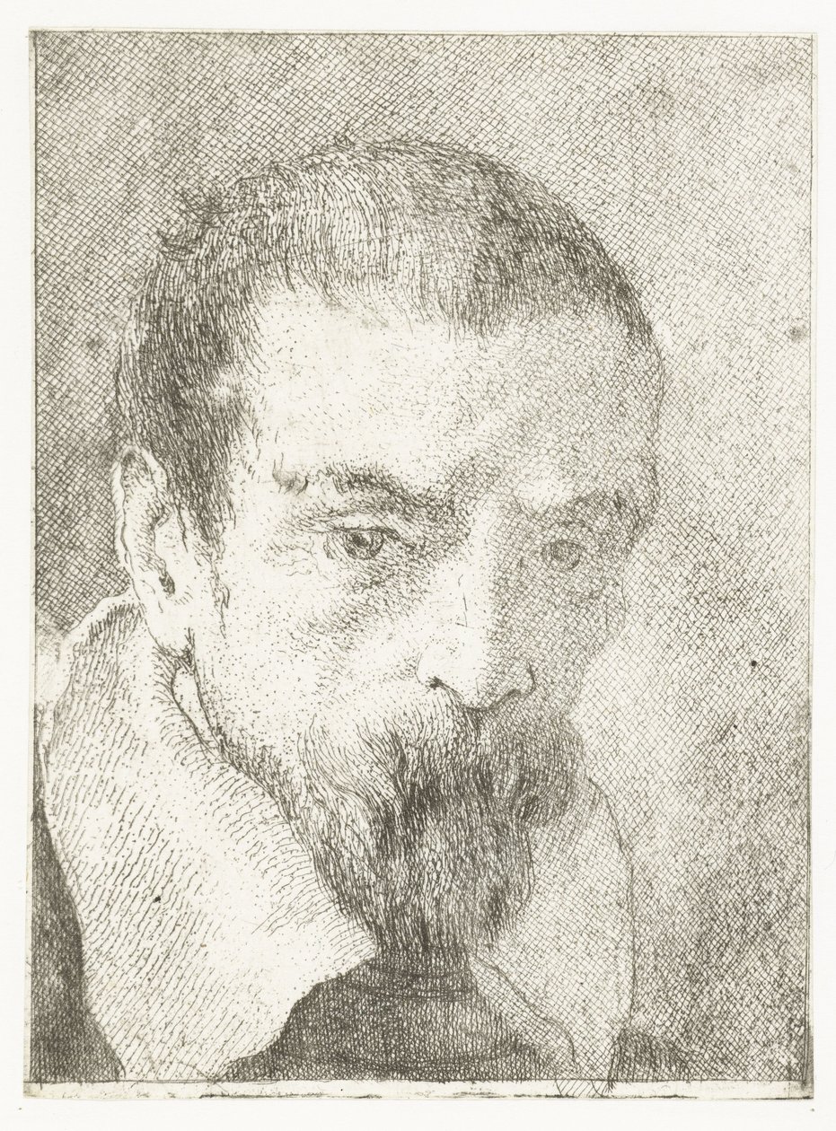 Man with Small Beard Without Headgear (Collection of Heads) by Giovanni Domenico Tiepolo