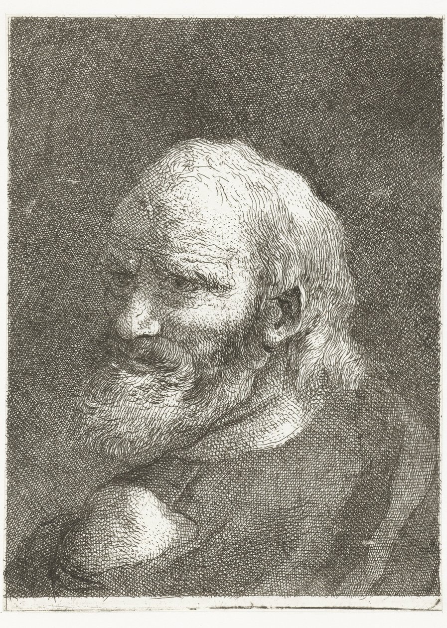 Man with Bare Shoulder (Collection of Heads) by Giovanni Domenico Tiepolo