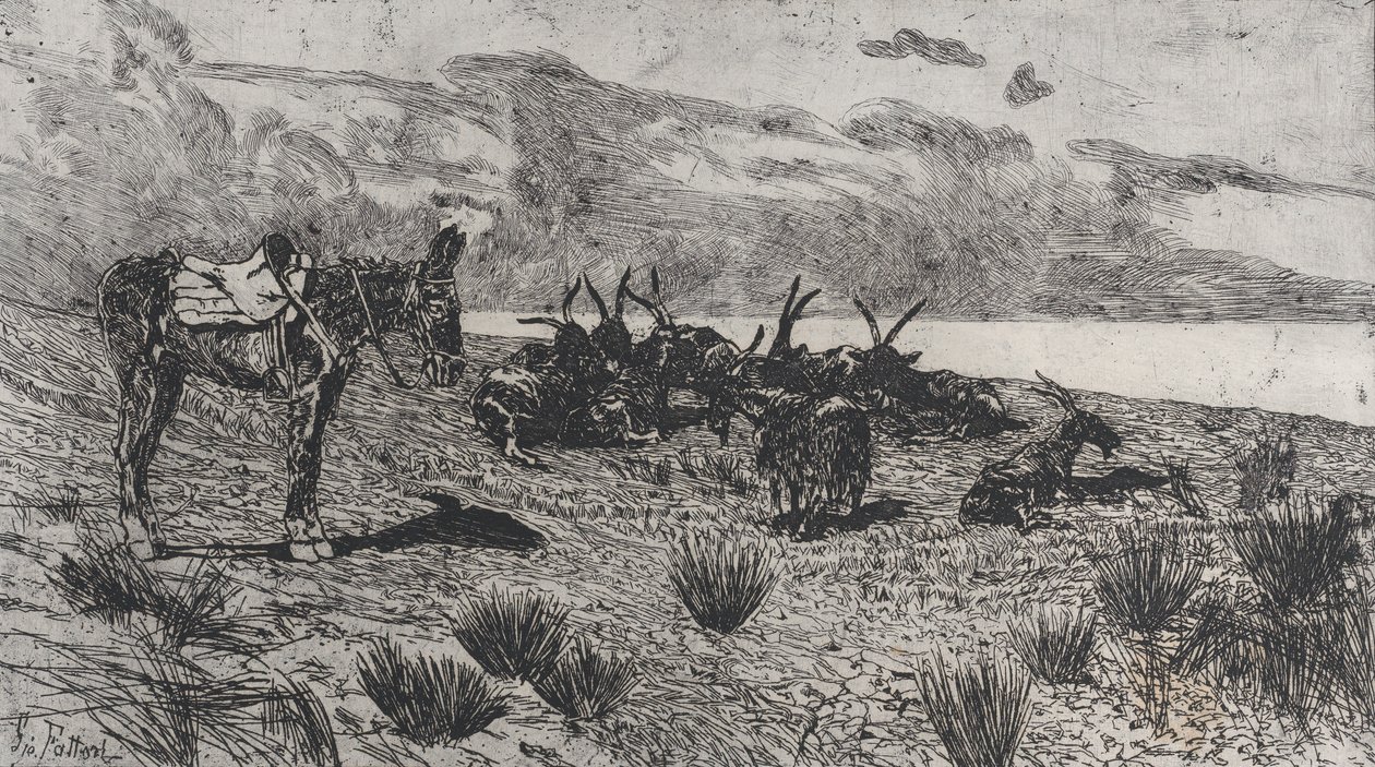 Donkey and Goats on a Seashore in Winter by Giovanni Fattori