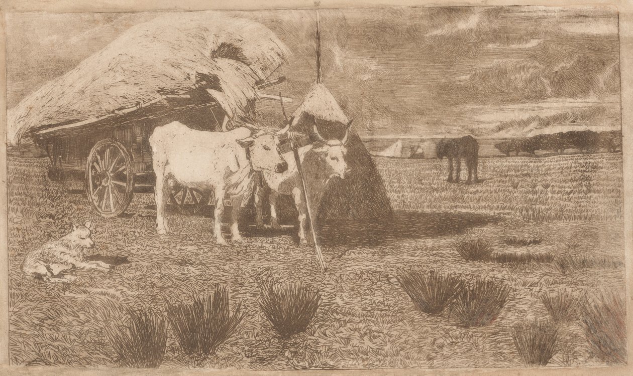 Oxen Yoked to a Cart (Maremma) by Giovanni Fattori
