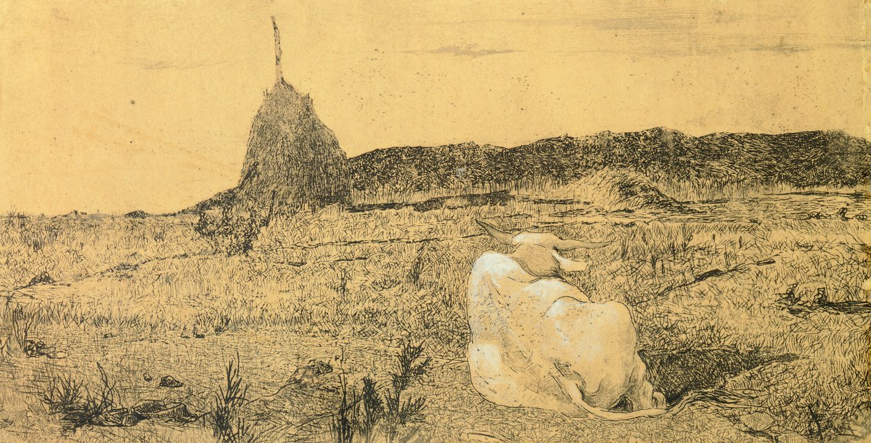 Pio Bove (Pious or Peaceful Ox) by Giovanni Fattori