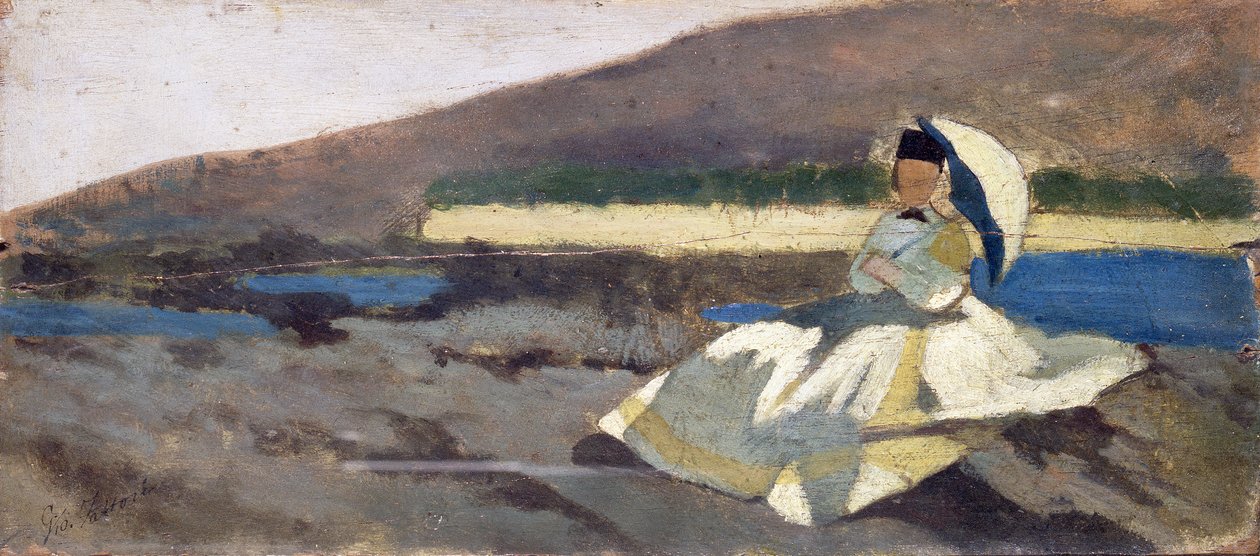 Seated Lady in Landscape by Giovanni Fattori