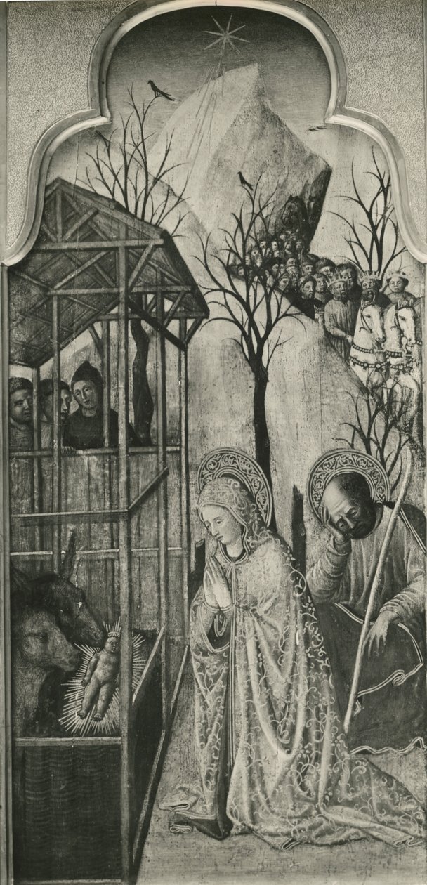 Cycle of the Life of the Virgin, Nativity, c.1445 by Giovanni Francesco da Rimini