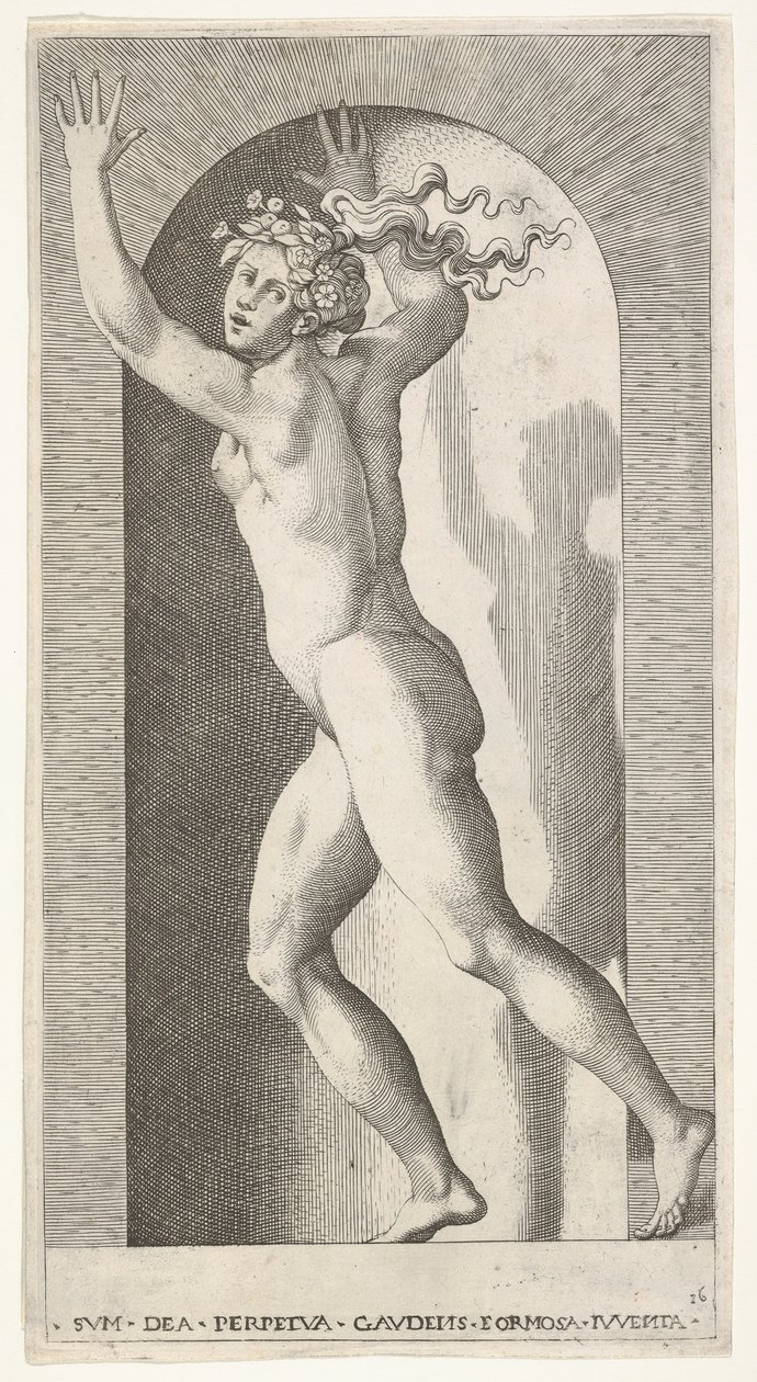Hebe in a Niche by Giovanni Jacopo Caraglio