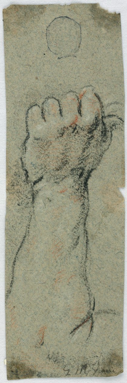 Study: An Erected Forearm and Left Hand Holding Something by Giovanni Maria Viani