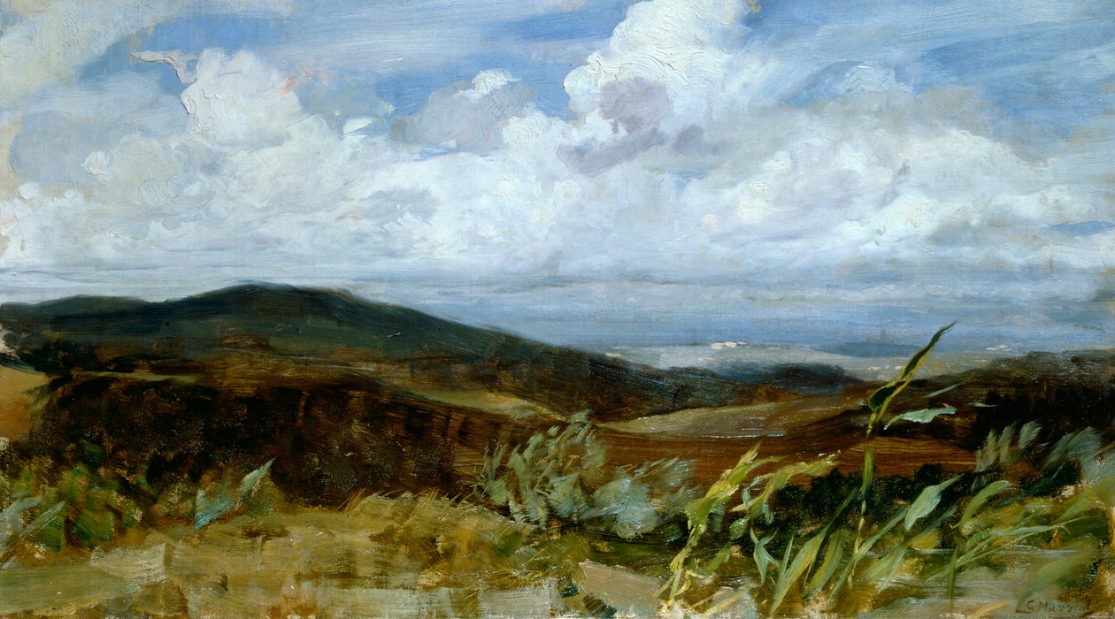 Landscape by Giovanni Muzzioli