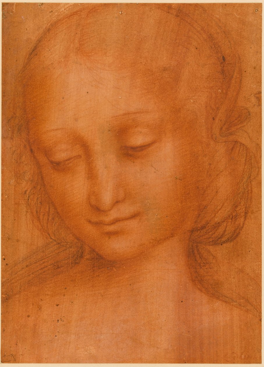 Head of a Woman by Giovanni Pietro Rizzoli Giampietrino