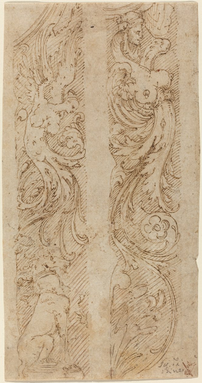 Grotesque Decorations for Wall Panels by Giovanni da Udine