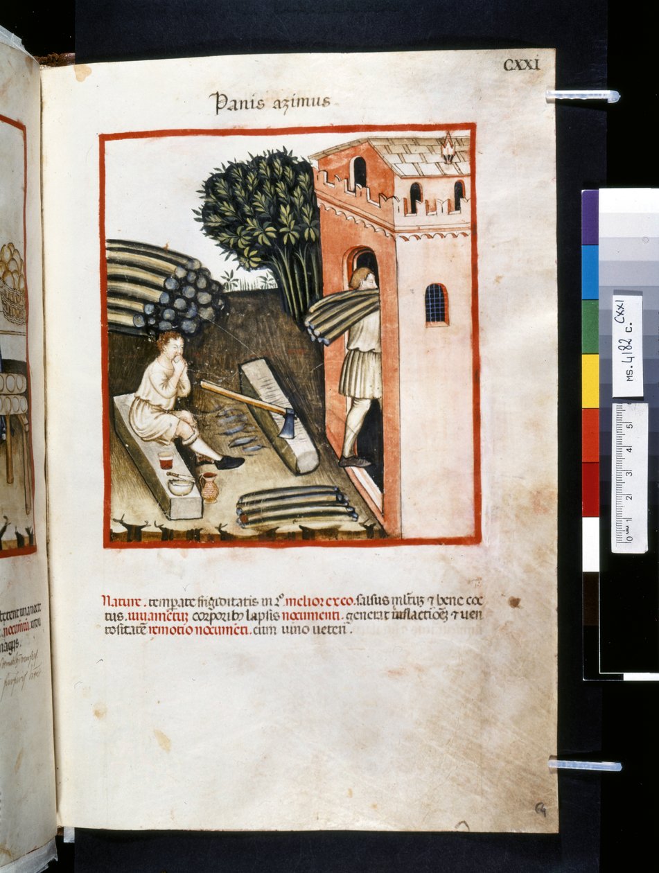 Theatrum sanitatis by Ububchasym de Baldach: 