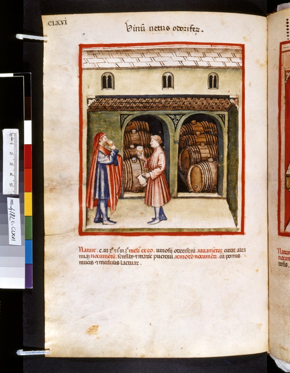 Theatrum sanitatis by Ububchasym de Baldach: 