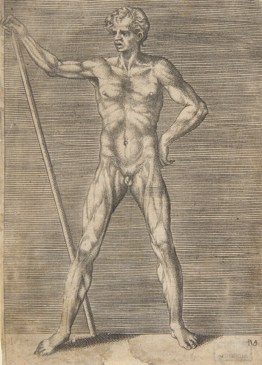 Flayed Man Seen from in Front, Holding a Stick by Giulio Bonasone