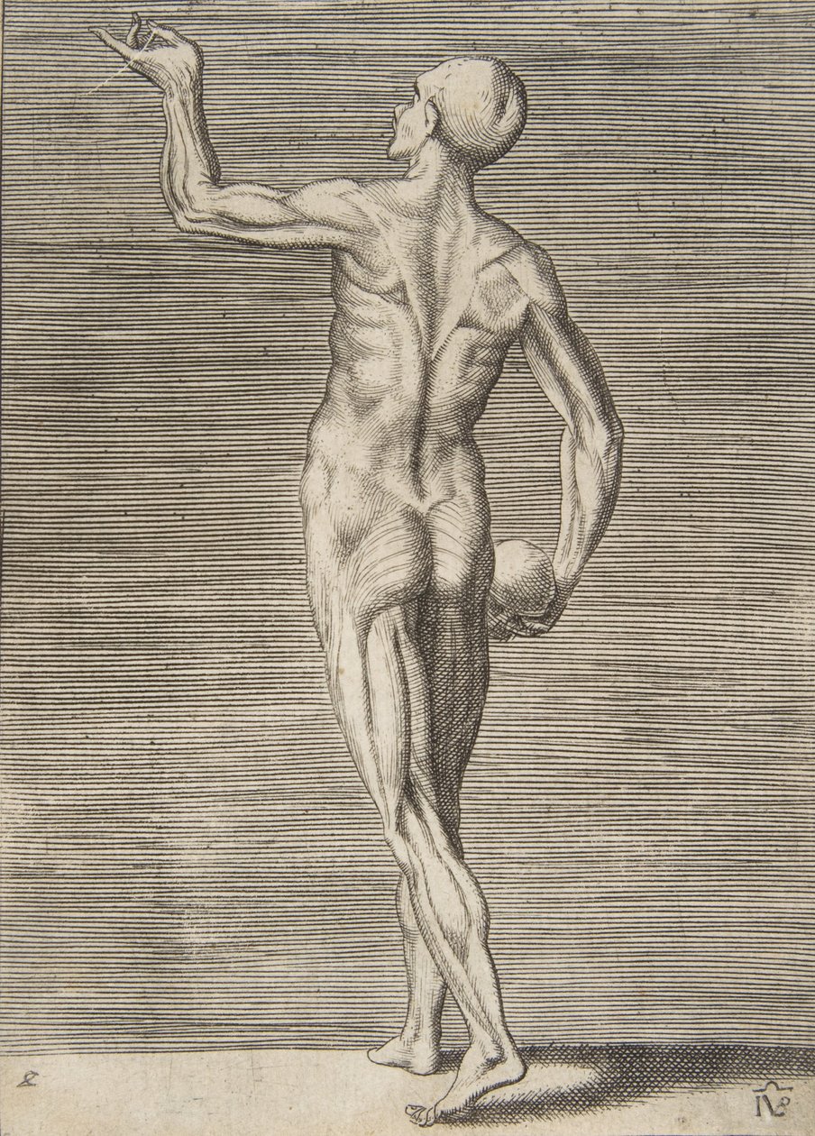 Man Seen from the Back, Holding a Skull in His Right Hand by Giulio Bonasone