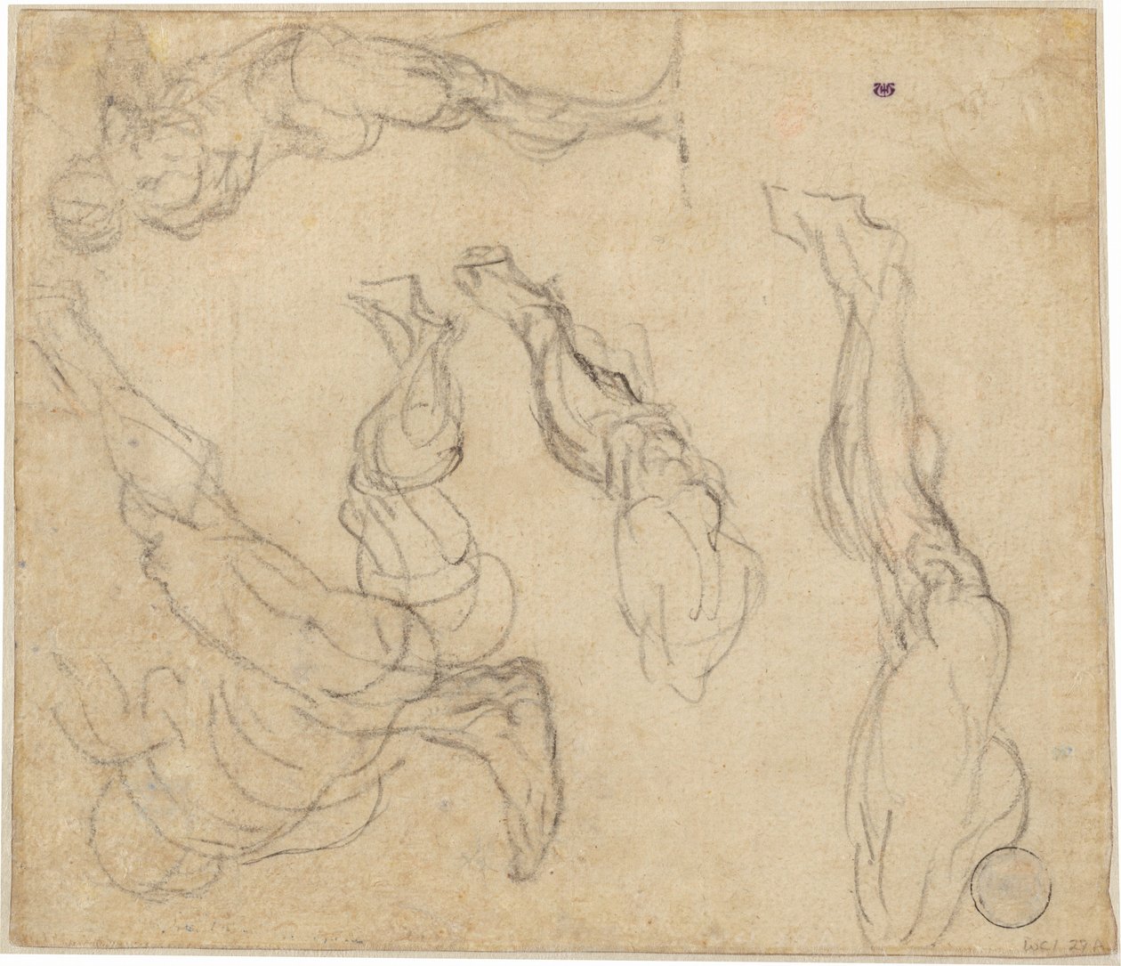 Head of a Boy (verso) by Giulio Campagnola