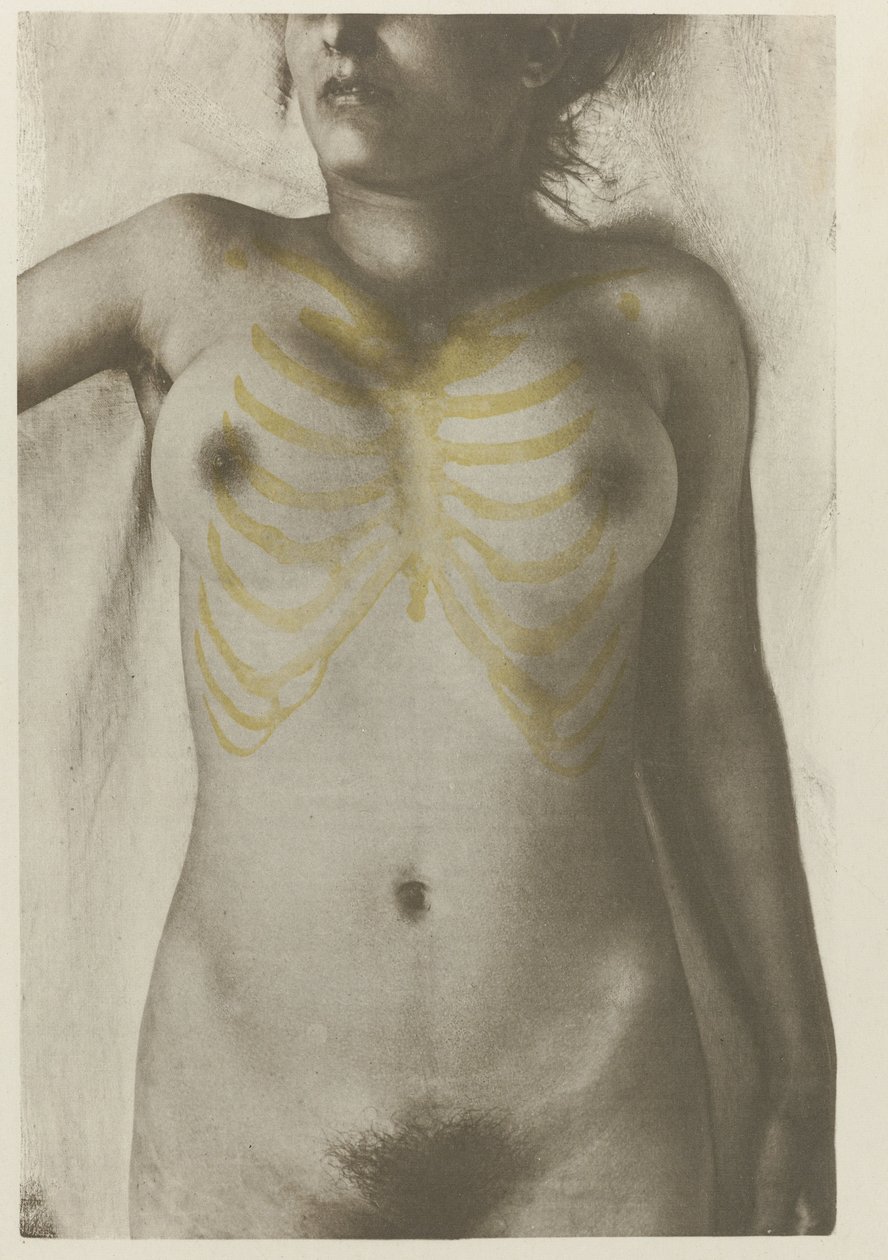 Anatomical Photo of a Female Corpse: 