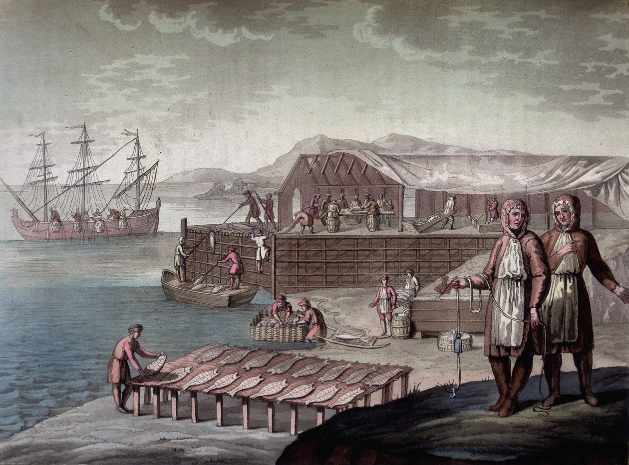 Cod fishing made by the inhabitants of Newfoundland - in The Old and Modern Costume by Ferrario, ed. Milan by Giulio Ferrario