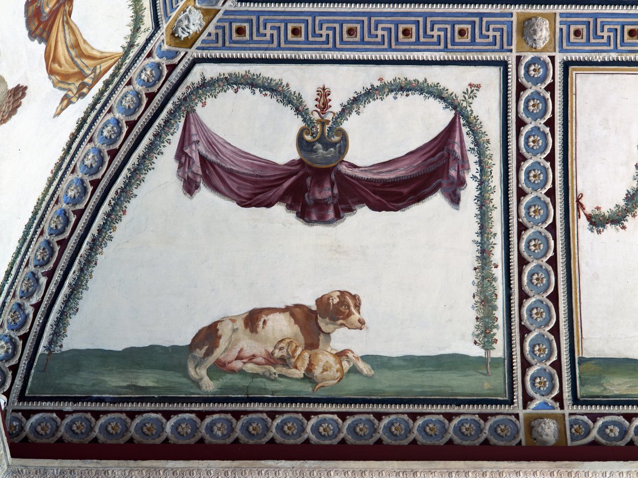 Camera con Fregio di Amorini, Dog and Puppy (detail) by Giulio Romano