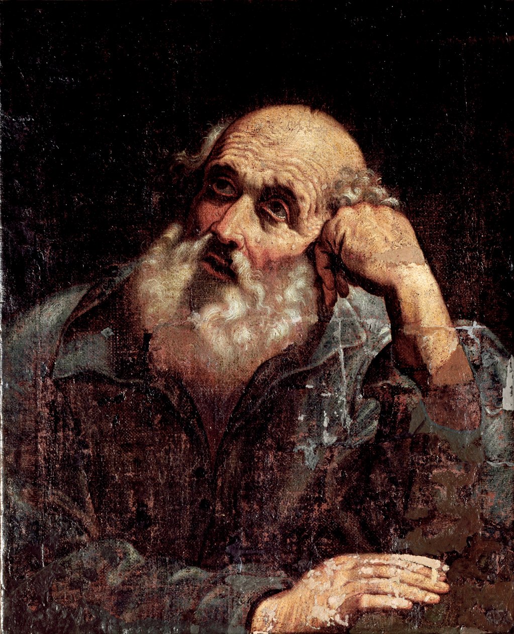 Portrait of an Apore by Giuseppe Antonio Petrini