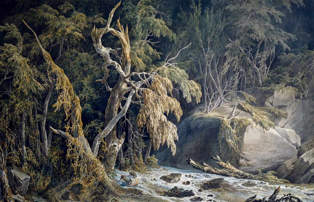 Rocky Landscape with Trees Uprooted by Giuseppe Pietro Bagetti